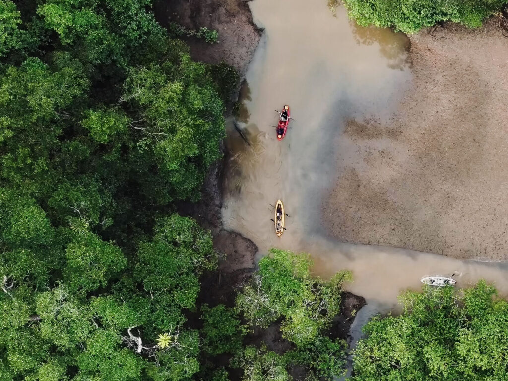 Aerial shots of kayaks paddling through Panama rainforest