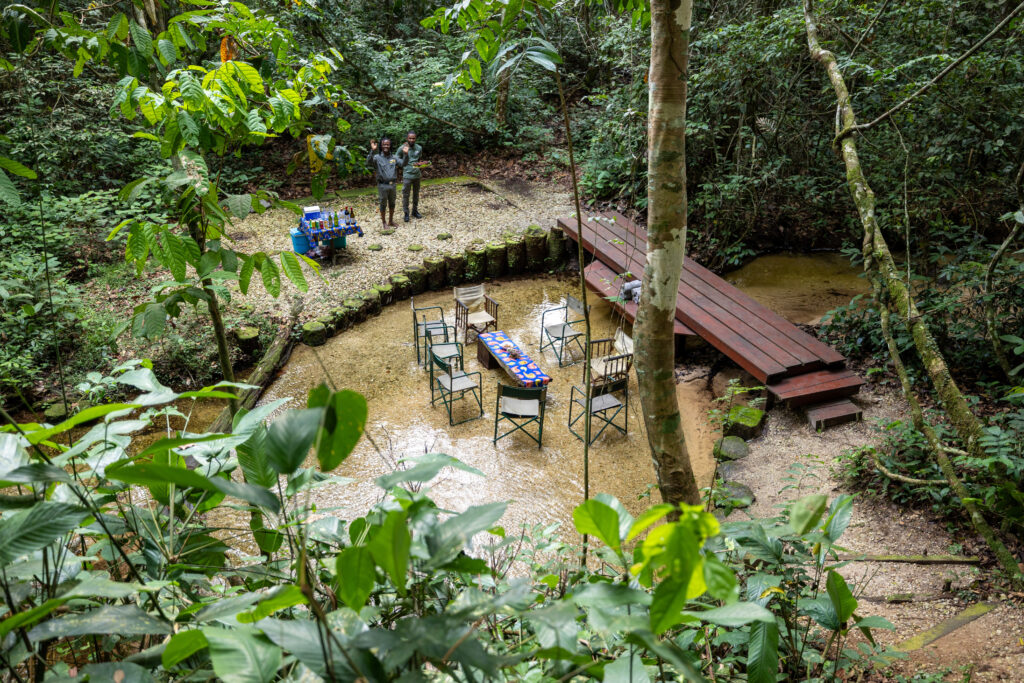 Riverbed drinks setup in the Congo basin