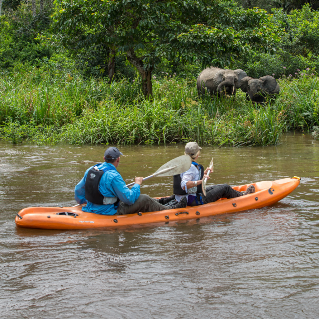 2 people canoeing watching forest elephants.