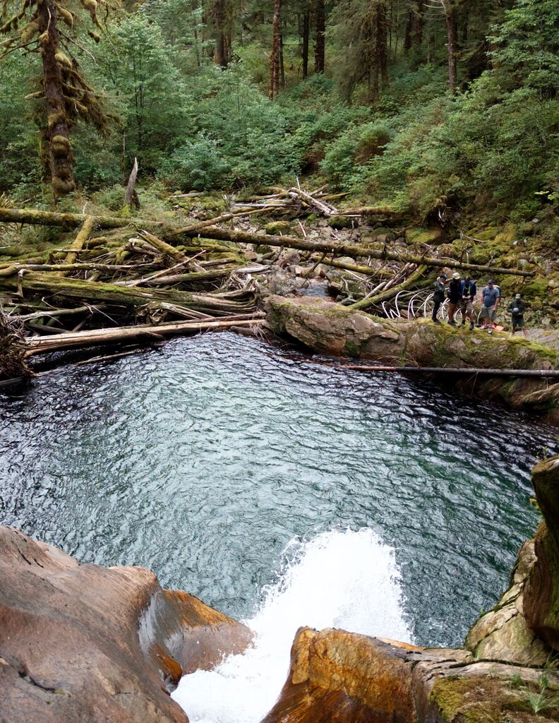 Hot springs in great bear rainforest