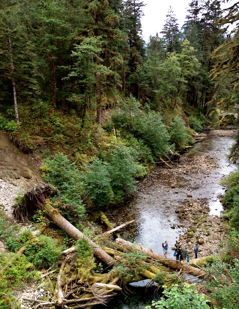 Hiking in great bear rainforest