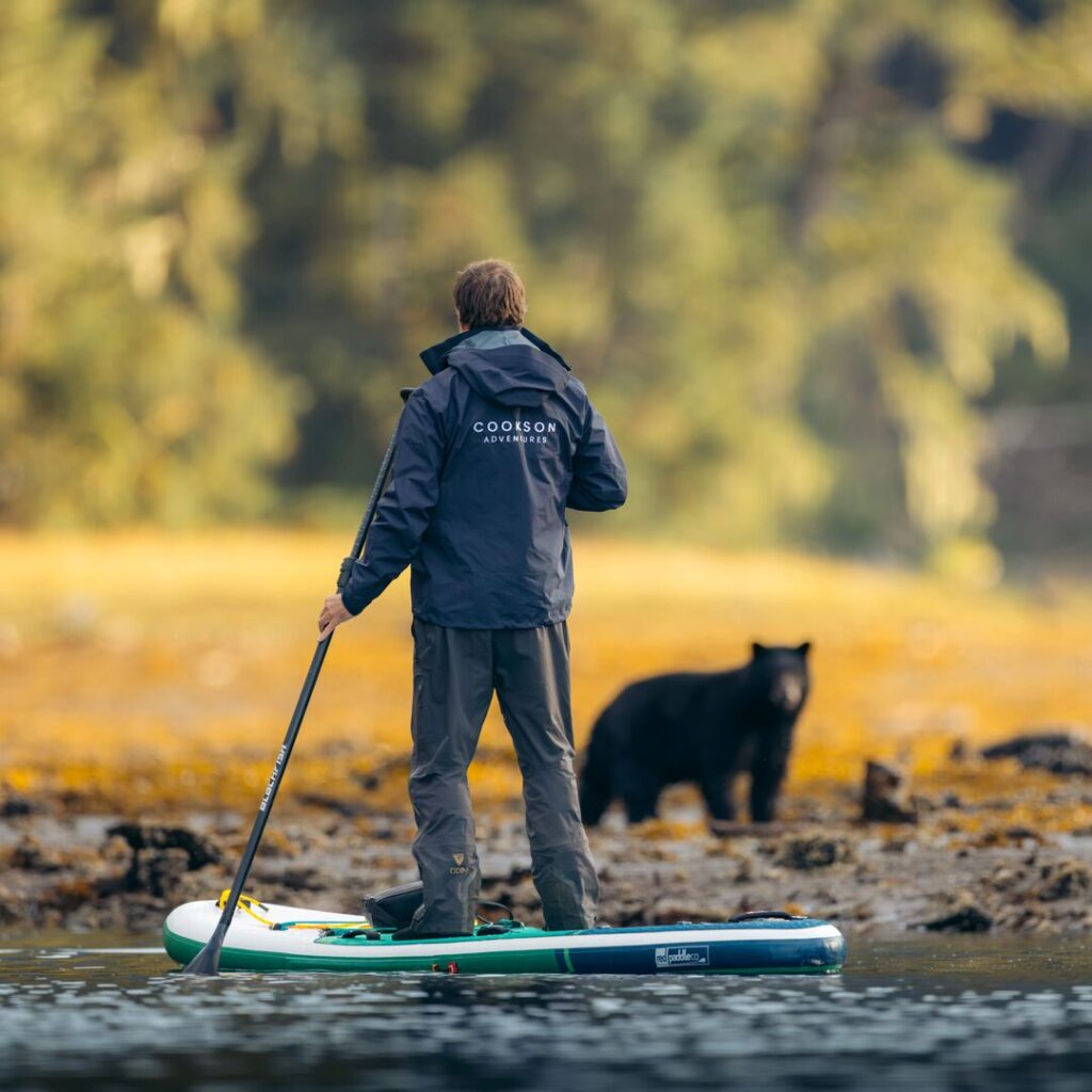 Henry Cookson SUPing with black bear