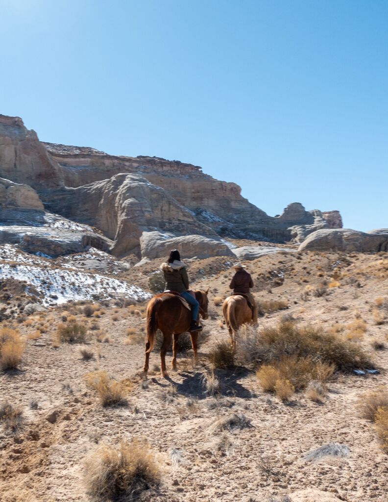 Horses, Utah