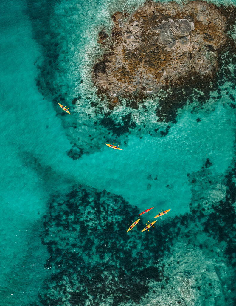 Aerial of kayaks