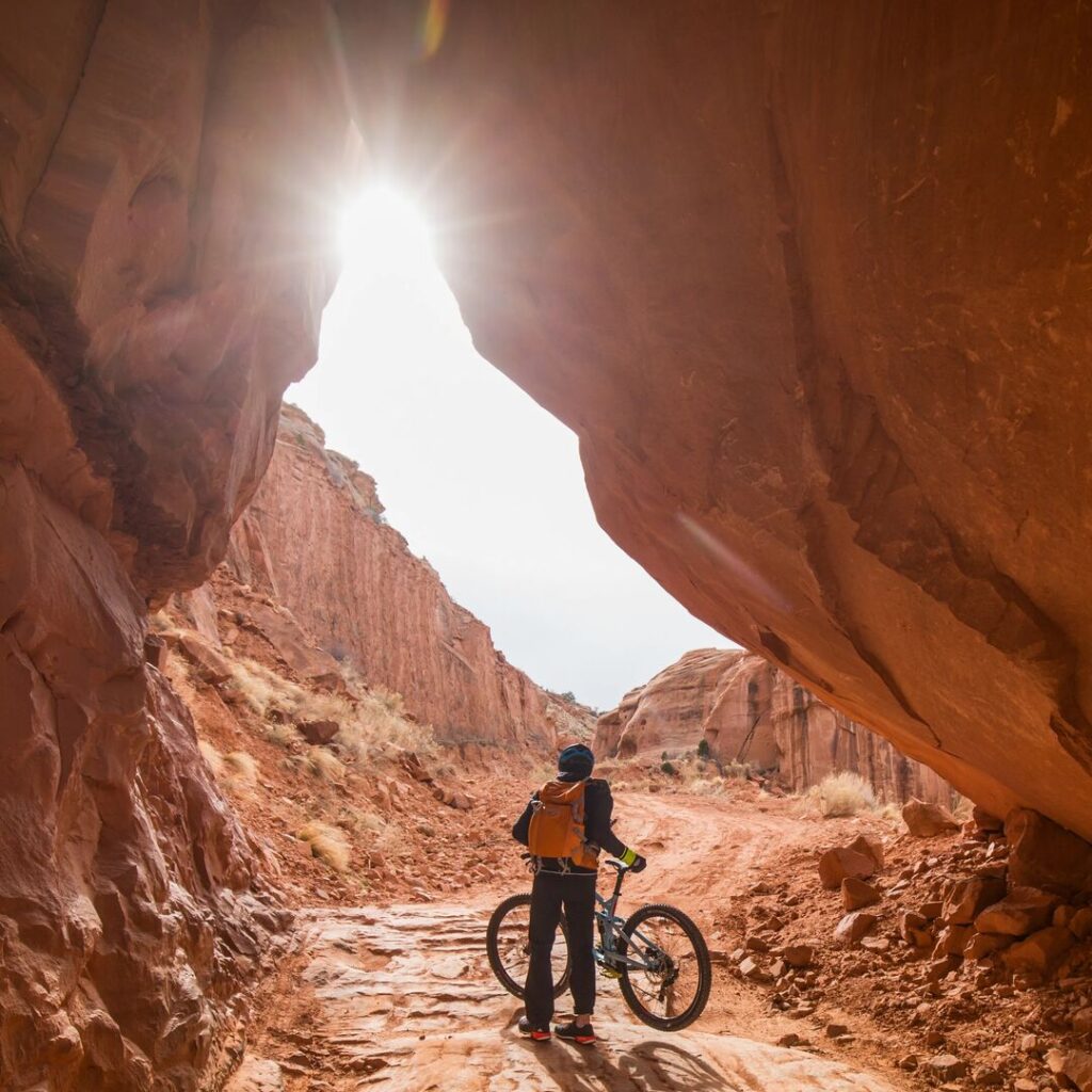 Mountain biker with bike in canyon