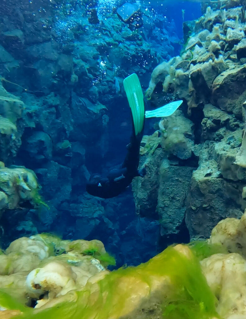 Freediver at Silfra, Iceland