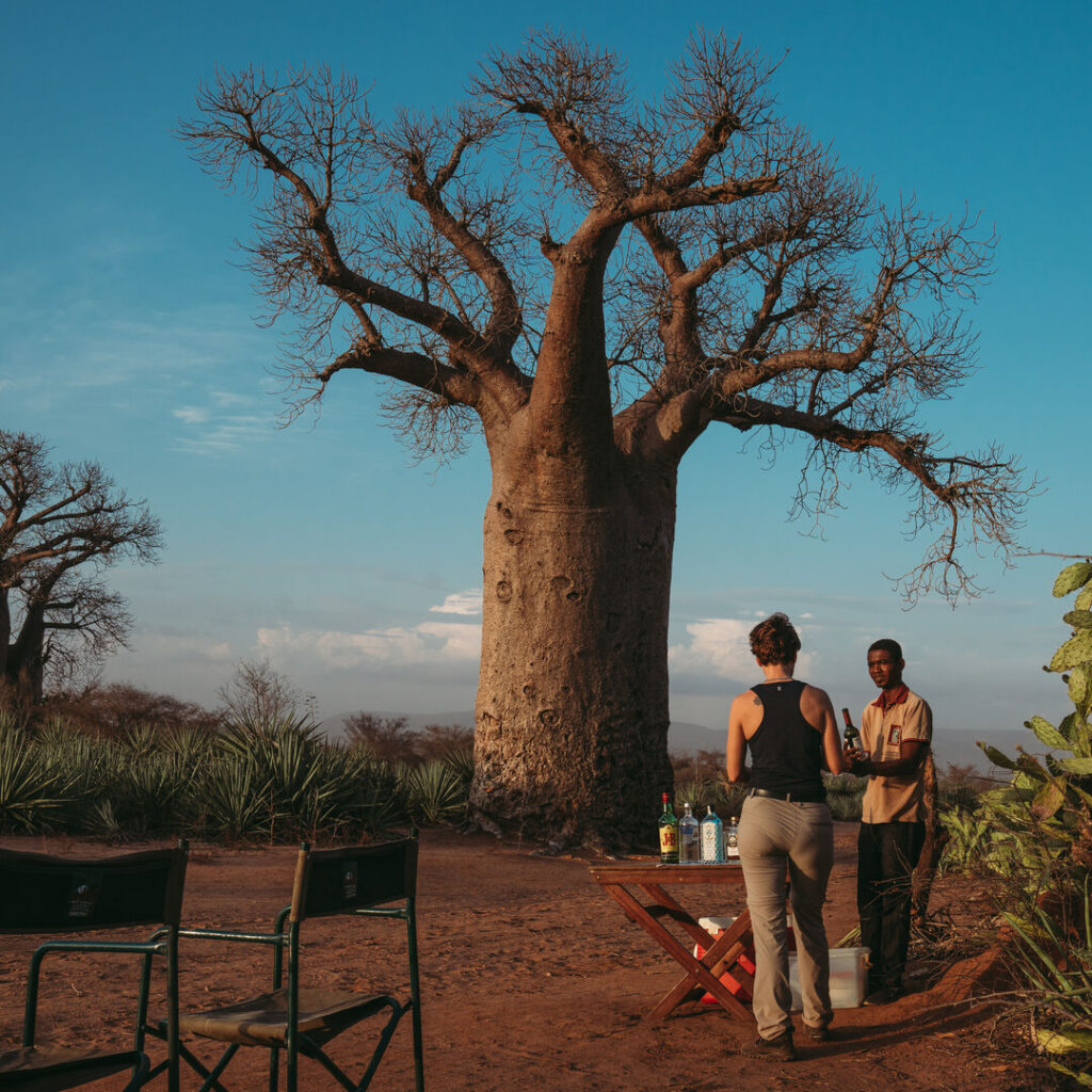 Drinks and bar setup surrounded by baobab trees.