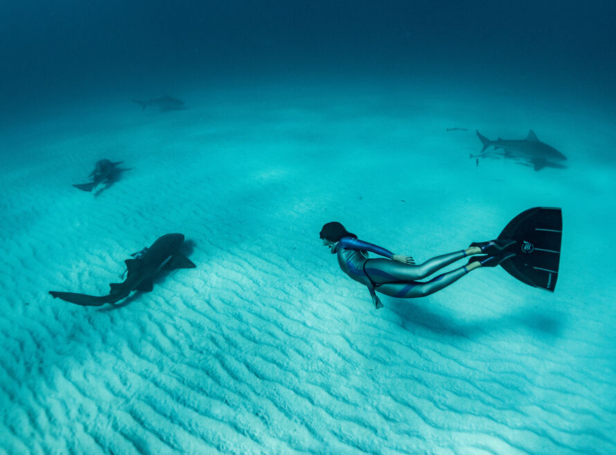 Swimming with sharks in Bahamas