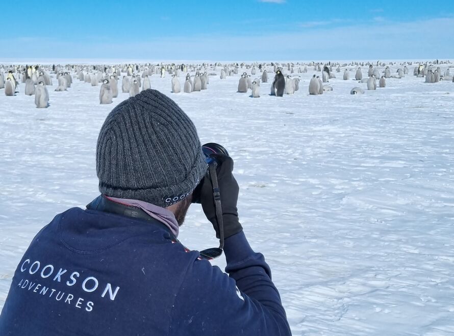 Taking photos of emperor penguins