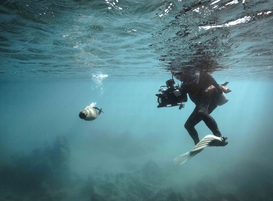 Underwater photography