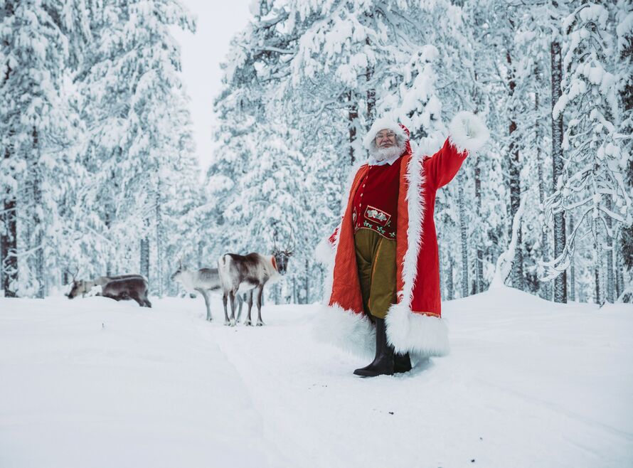 Santa Claus actor with reindeer in snowy Lapland forest
