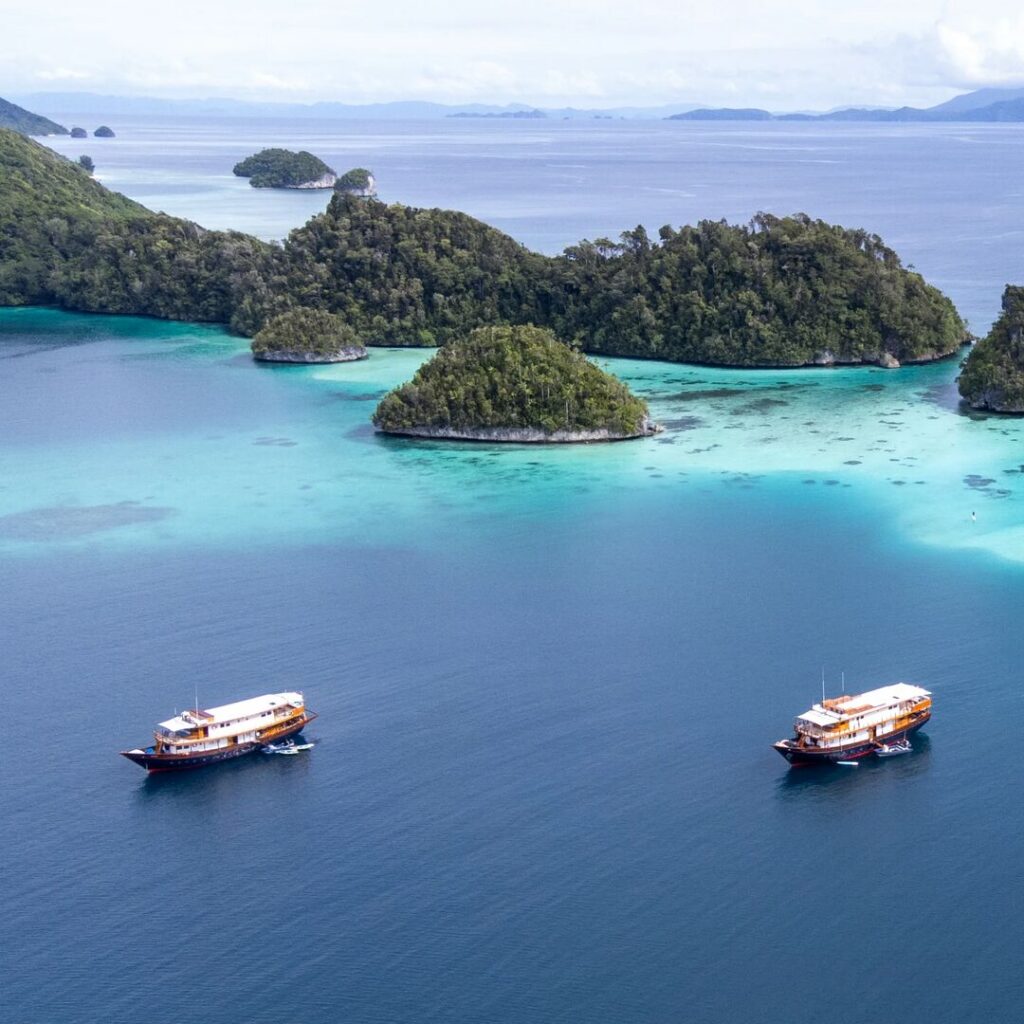 Two phinisis in tropical islands