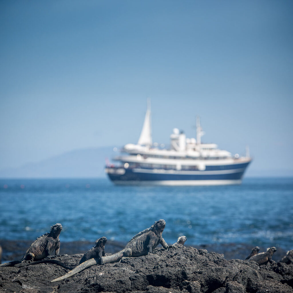 Sherakhan in Galapagos on an owner's trip